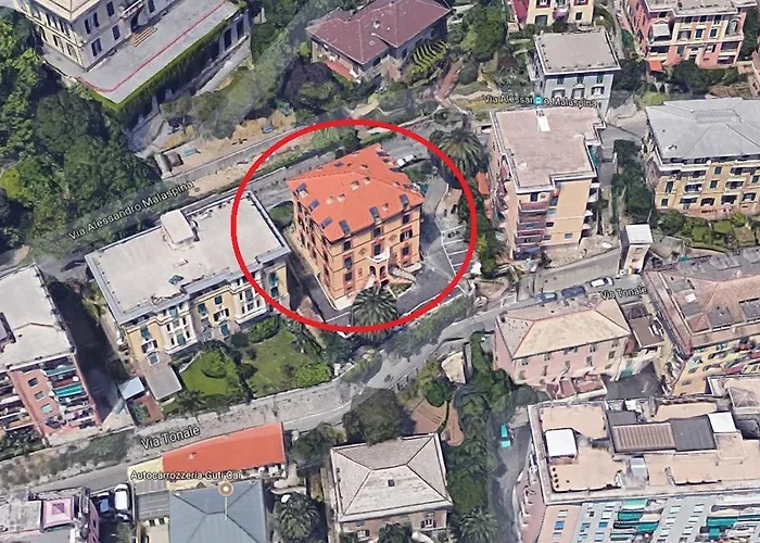 Memeapartments Janov